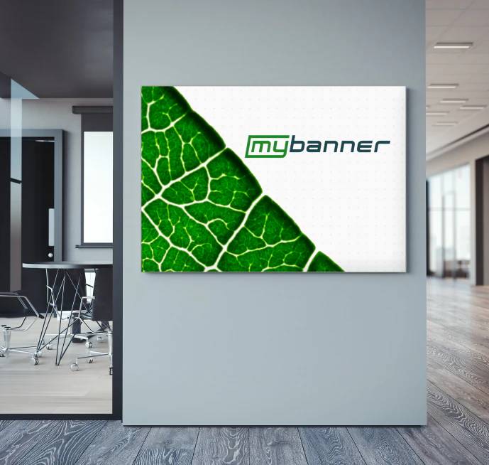 Display-Systeme