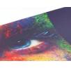 Leuchtstarke PVC Backlit Plane – brillante Farben im hochwertigen Digitaldruck