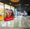 SEG Pop Up Display