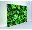 SEG Pop Up Display LED