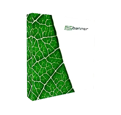 SEG Pop Up Display LED