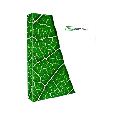 SEG Pop Up Display